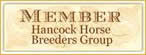 Hancock Horses Breeders Group